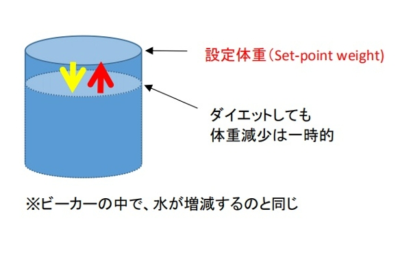 設定体重に変化なし