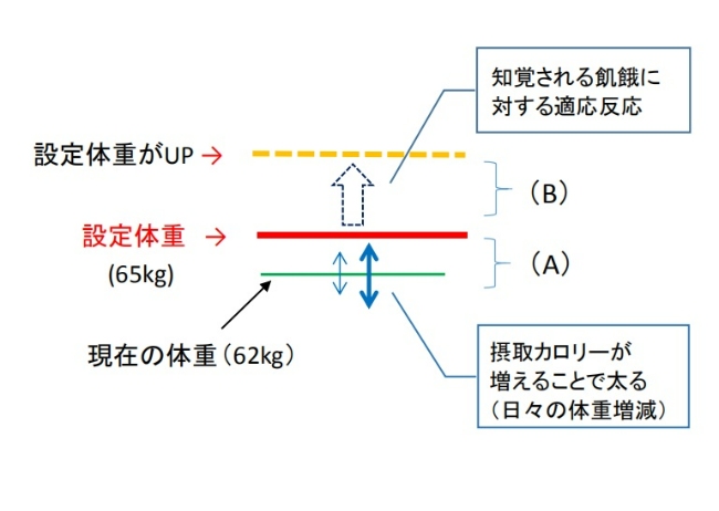 体重増加の2パターン
