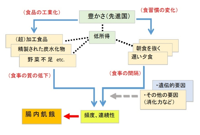 複数の要因と腸内飢餓