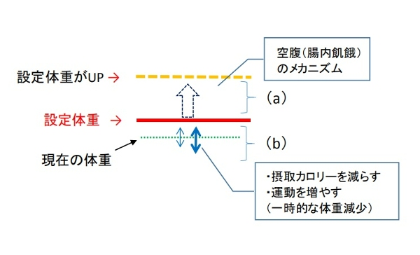 体重増加の２パターン