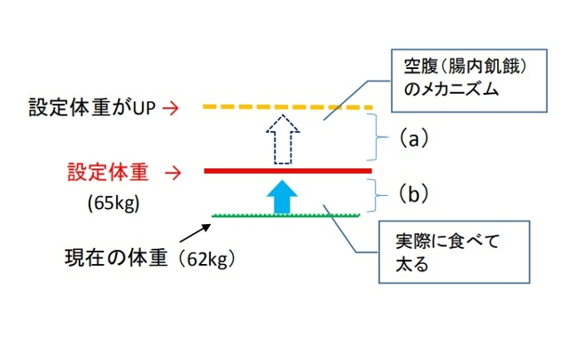 設定体重up