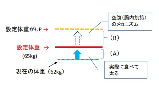 設定体重up