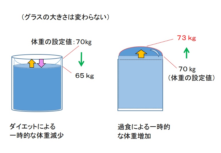 過食による一時的な体重増加