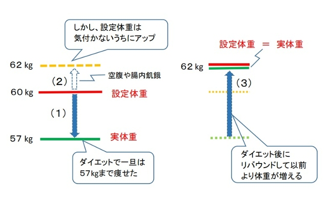 ダイエットで太るイメージ