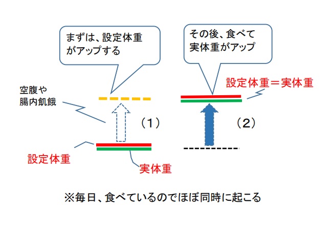 力士太るイメージ