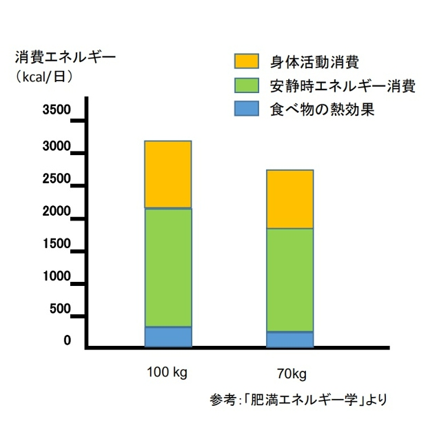 消費エネルギー比較図