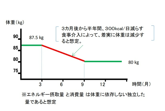 減量の静的モデル